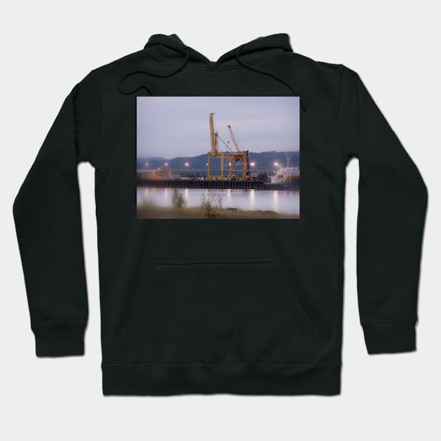 crane Hoodie by DlmtleArt